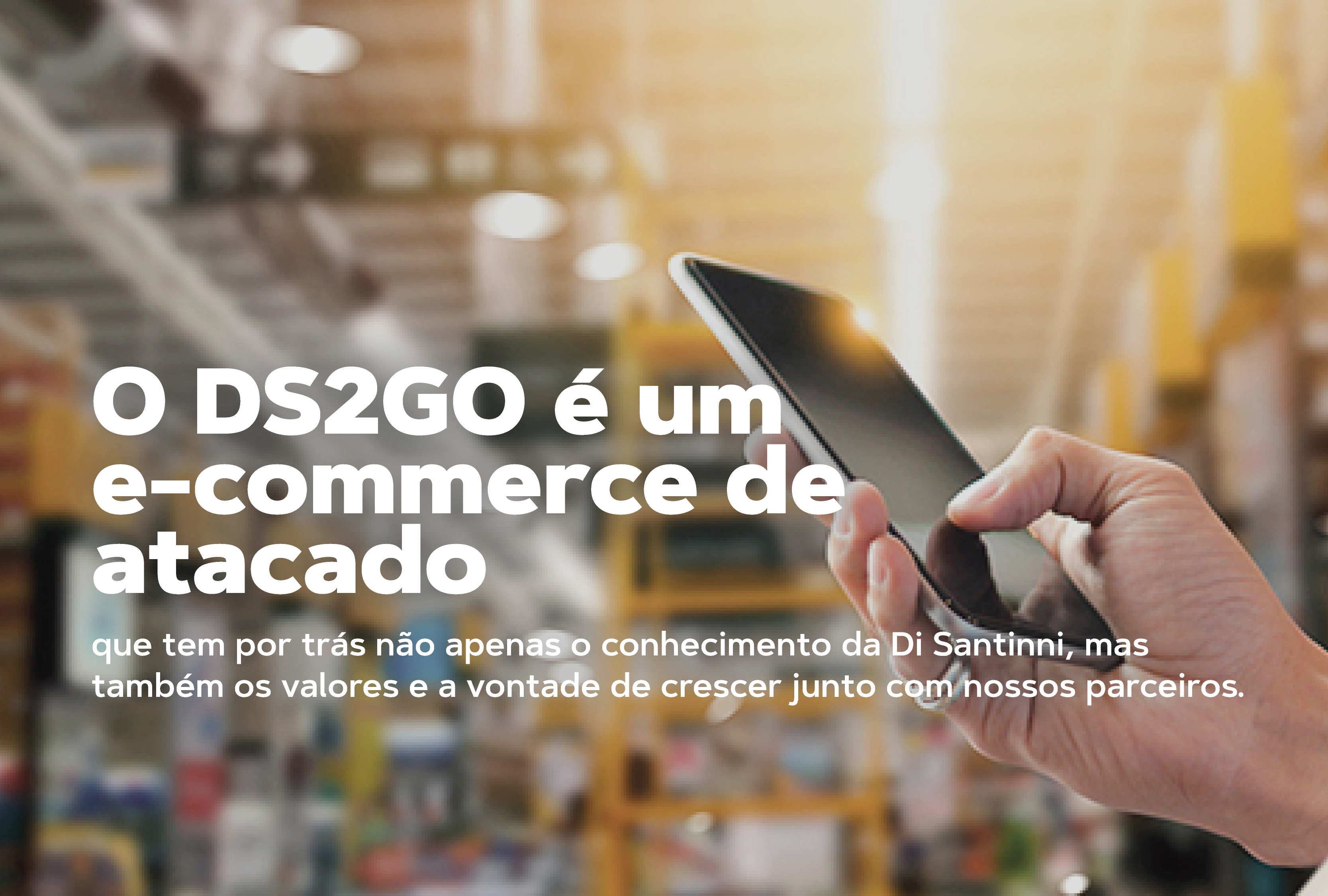 o ds2go é um e-commerce de atacado que tem por trás, não apenas o conhecimento da Di Santinni, mas também os valores e a vontade de crescer junto com nossos parceiros