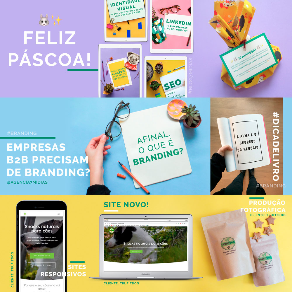 feed de instagram da agência 7mídias